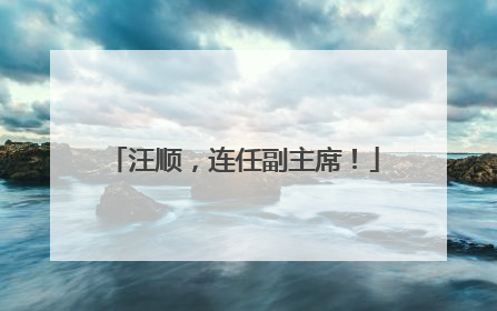 汪顺，连任副主席！